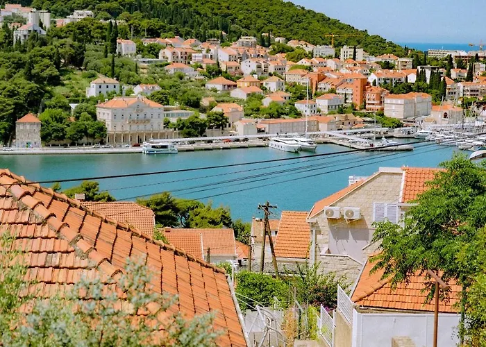 Palm Tree Paradise Appartamento *