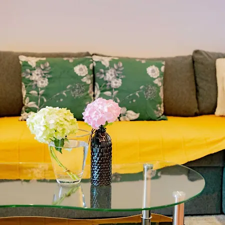 Palm Tree Paradise Dubrownik