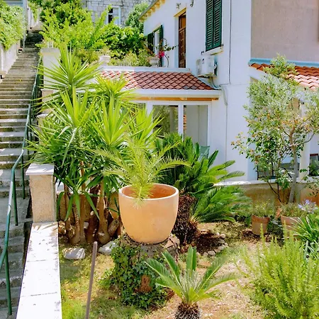 Palm Tree Paradise * Dubrownik