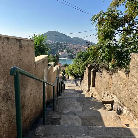 Palm Tree Paradise * Dubrovnik