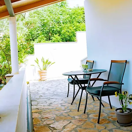 Palm Tree Paradise Daire
