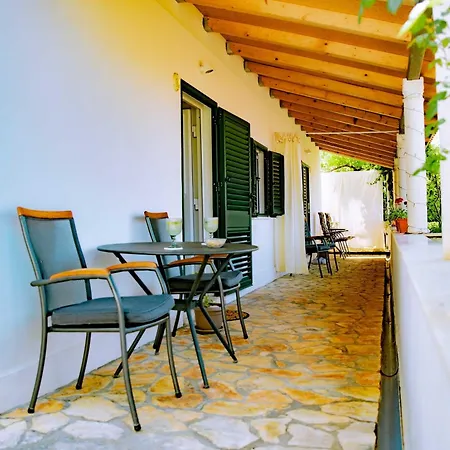 Lejlighed Palm Tree Paradise