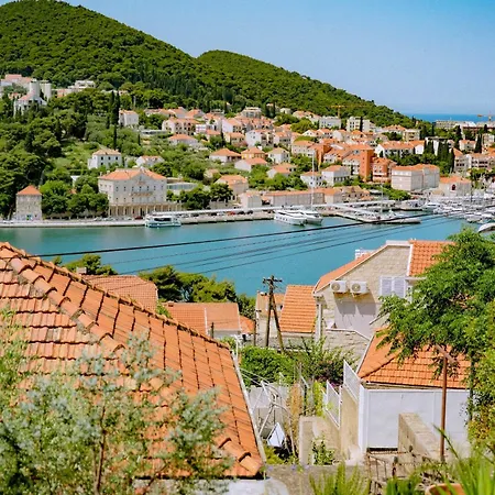 Palm Tree Paradise Appartement *