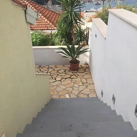 Apartment Palm Tree Paradise