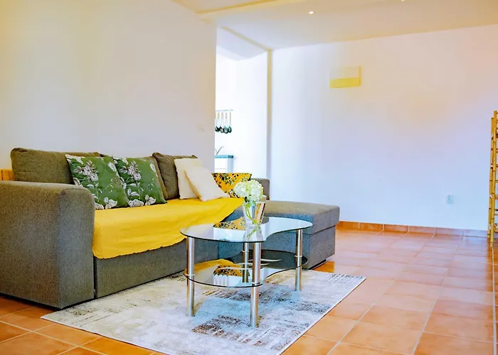 Palm Tree Paradise *