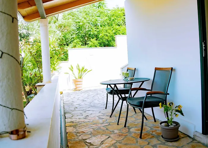 Palm Tree Paradise Appartement