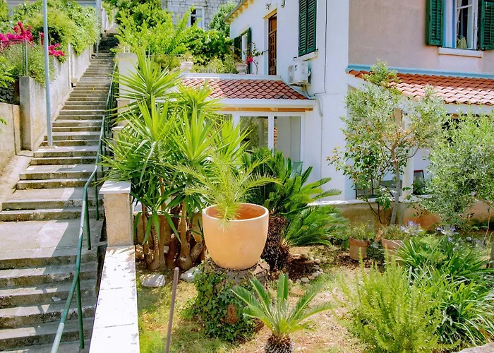 Palm Tree Paradise * Dubrovnik