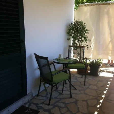 Palm Tree Paradise Appartement